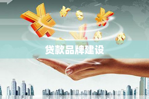 芳苑贷款品牌建设