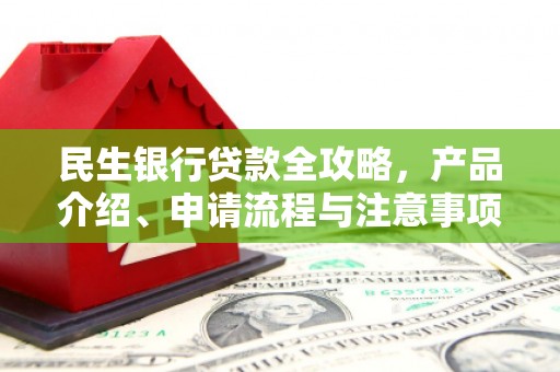 芳苑民生银行贷款全攻略，产品介绍、申请流程与注意事项